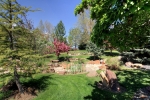 back-yard-garden-1