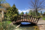 back-yard-garden-2