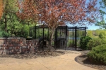 back-yard-garden-3