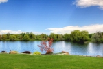 back-yard-lake-2