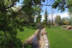 backyard-3