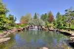 stocked-pond