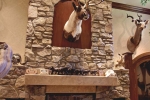trophy-room