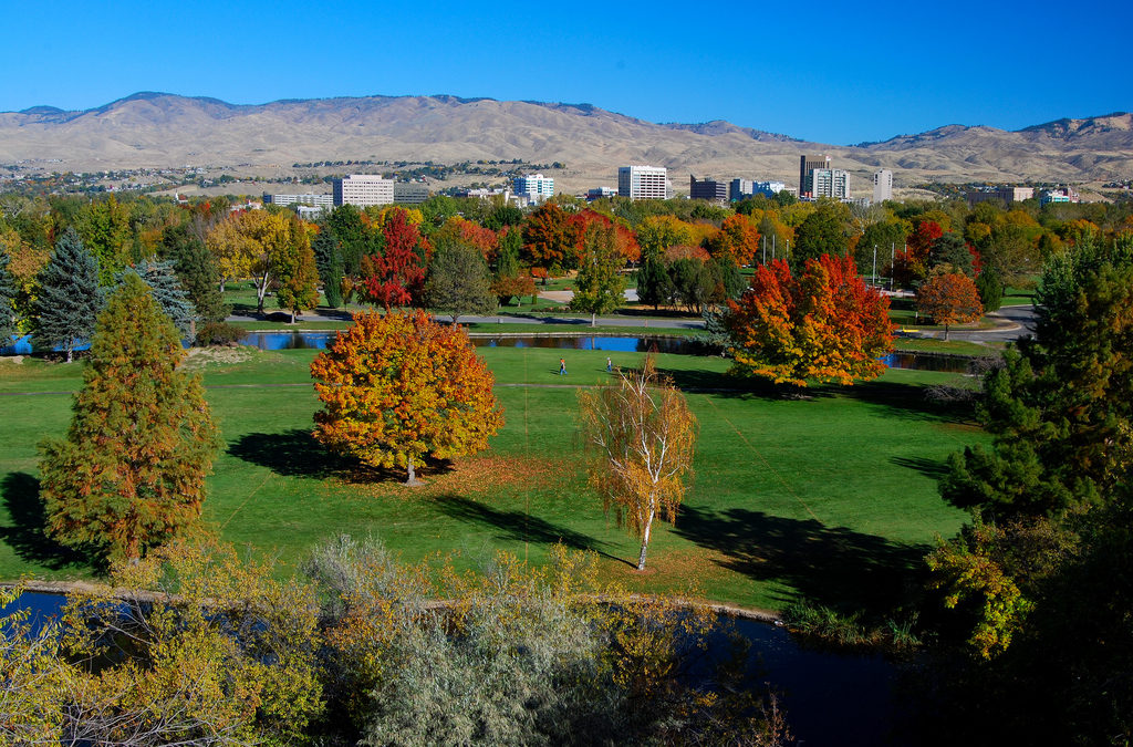 City of Trees – Perfect in Spring!