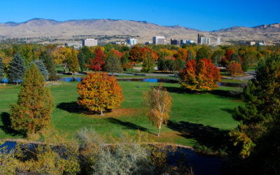 City of Trees – Perfect in Spring!